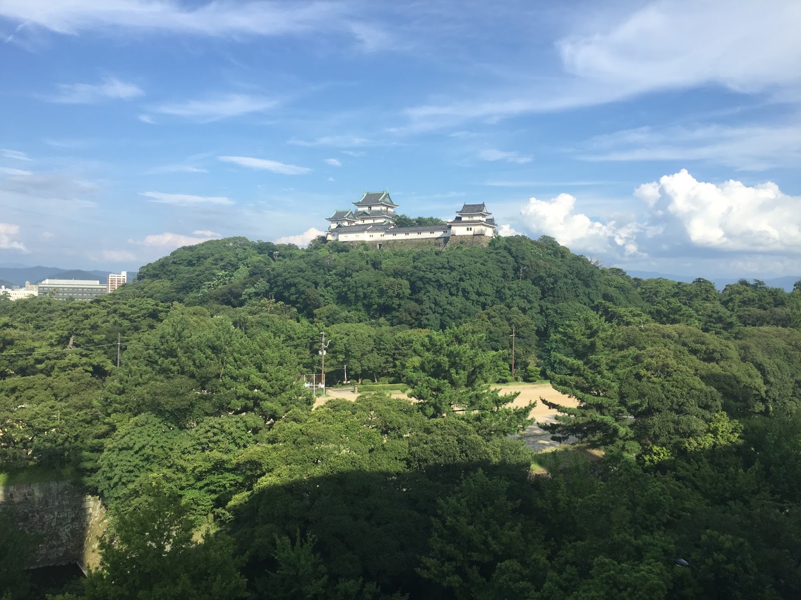 シンのドイツ日記 夏の夜の夢