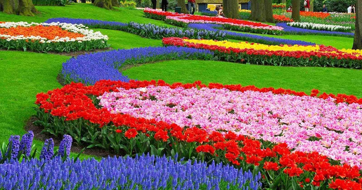 Desain Indah Konsep Taman Bergaya Eropa dan Mediterania - TUKANG TAMAN