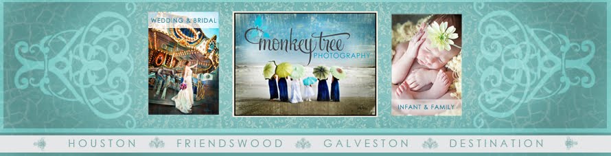 Monkey Tree Photography