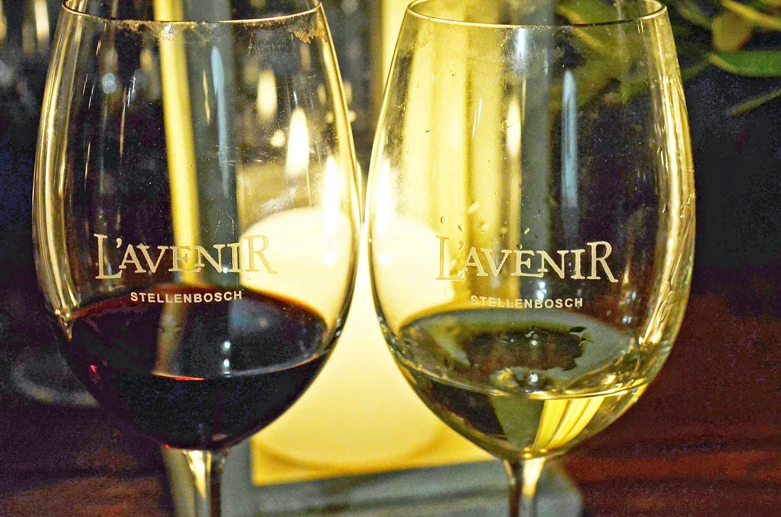. Vertical pinotage tasting at L'Avenir with Francois Naude