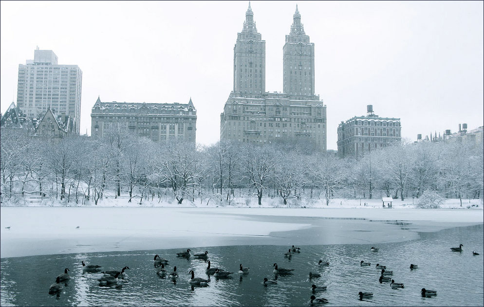 Clima tempo em Nova York ao longo do ano aNYAdoro Nova York O melhor da melhor cidade do Clima tempo em Nova York ao longo do ano aNYAdoro Nova York O melhor da melhor cidade do