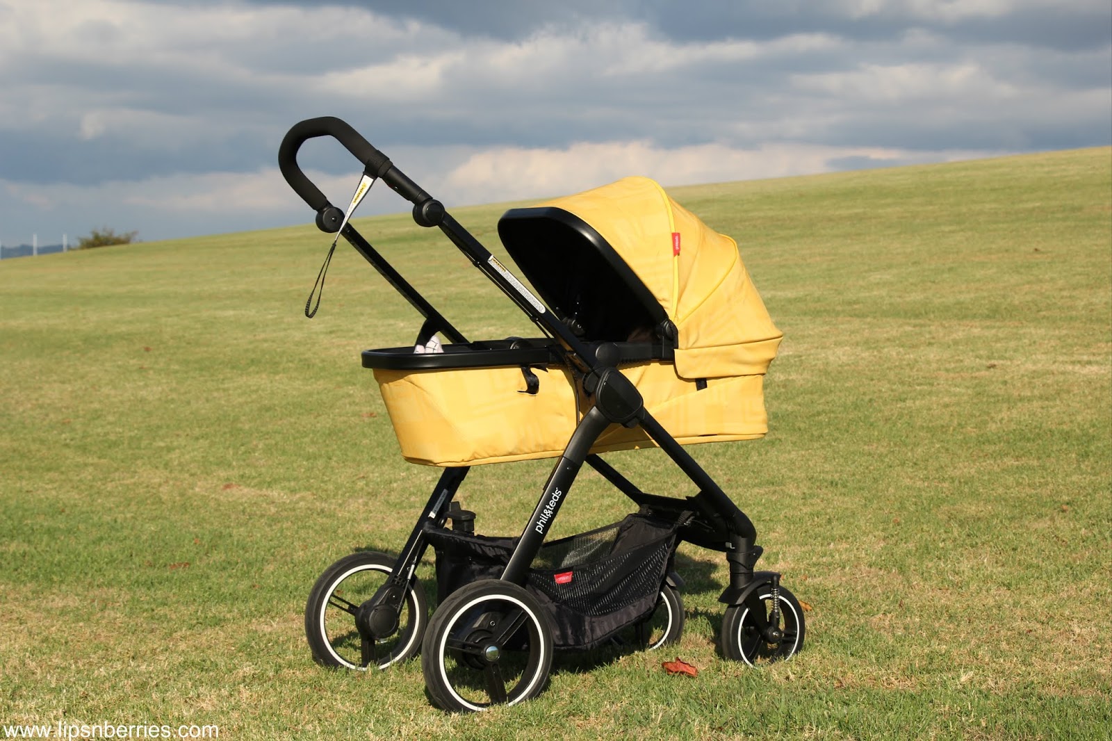 phil&teds mod stroller