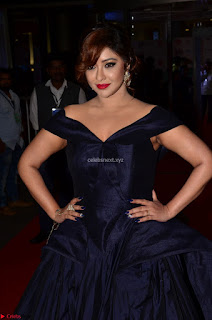 Payal Ghosh aka Harika in Dark Blue Deep Neck Sleeveless Gown at 64th Jio Filmfare Awards South 2017 ~  Exclusive 001