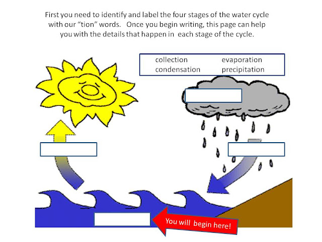 Some of this, a little of that . . .: Connect Activity