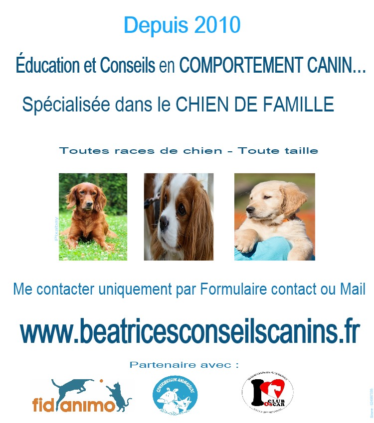 BEATRICESCONSEILSCANINS