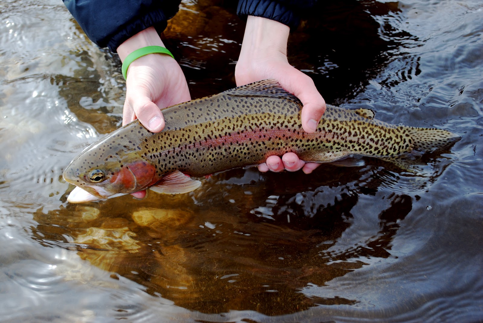 Lost River Outfitters Good Winter Fishing on the South Fork of the Boise