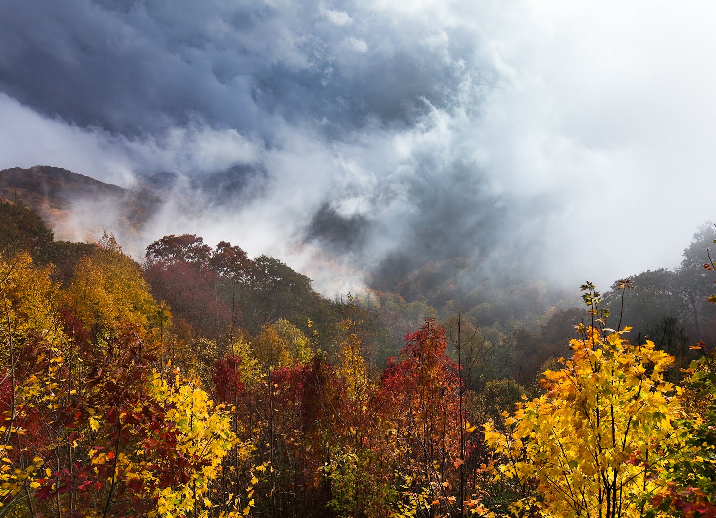 Sharing the Experience Fall Color Report Great Smoky Mountains