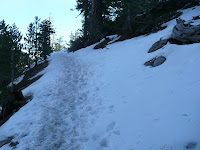 The Novel Msr Microrocket -- Trail Study #2