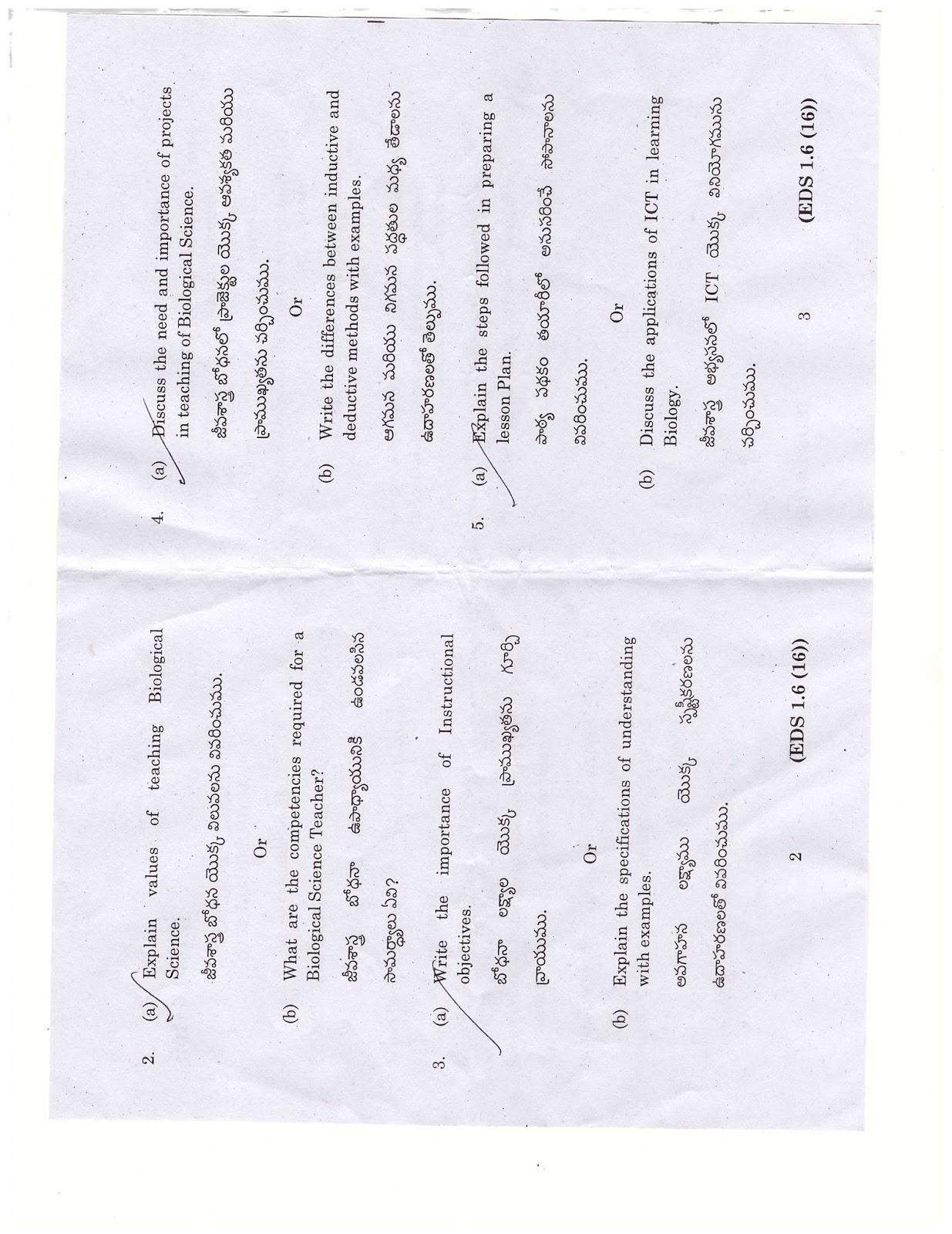 community language learning essay sample activities