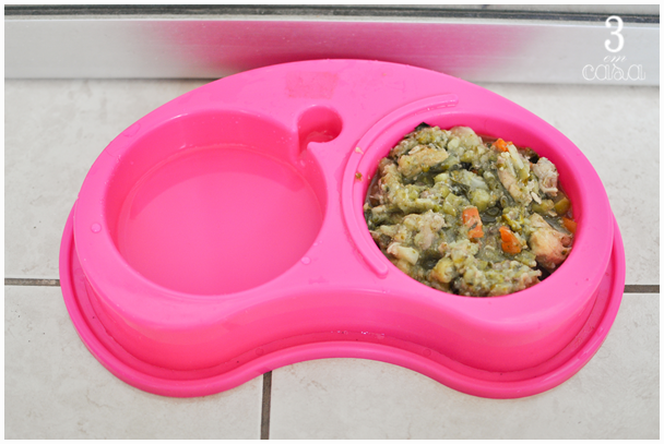 receita comida natural cachorro