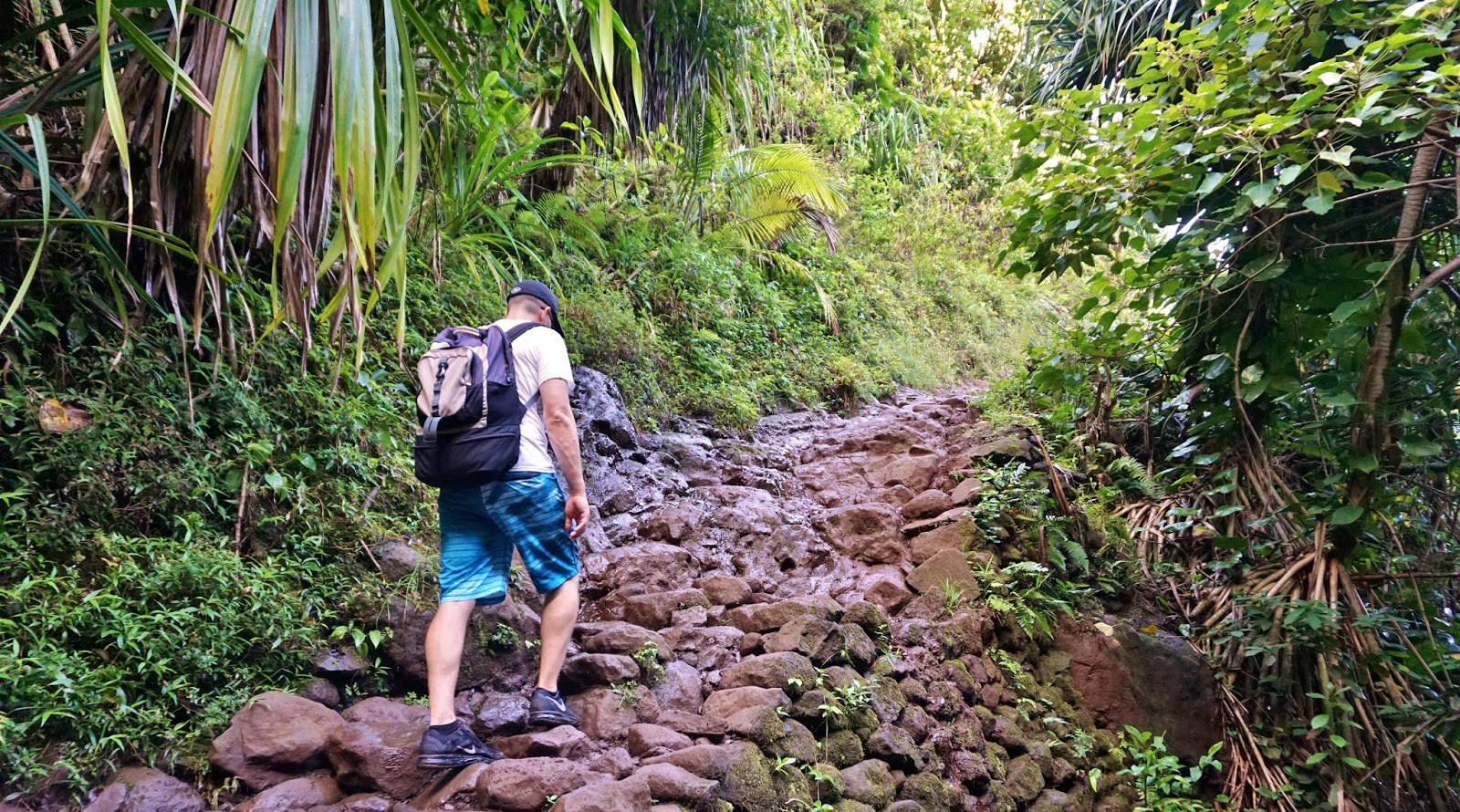 Freed Up Girl Hiking Napali Coast