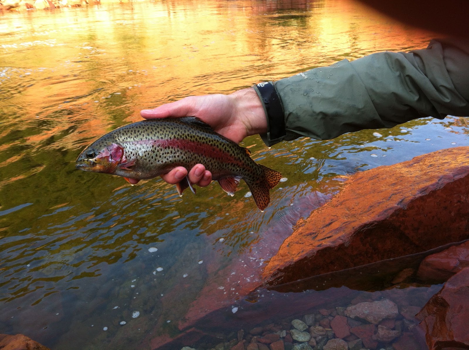 The Flyfishing mind of Jeff Allen Farewell Colorado, Frying Pan River