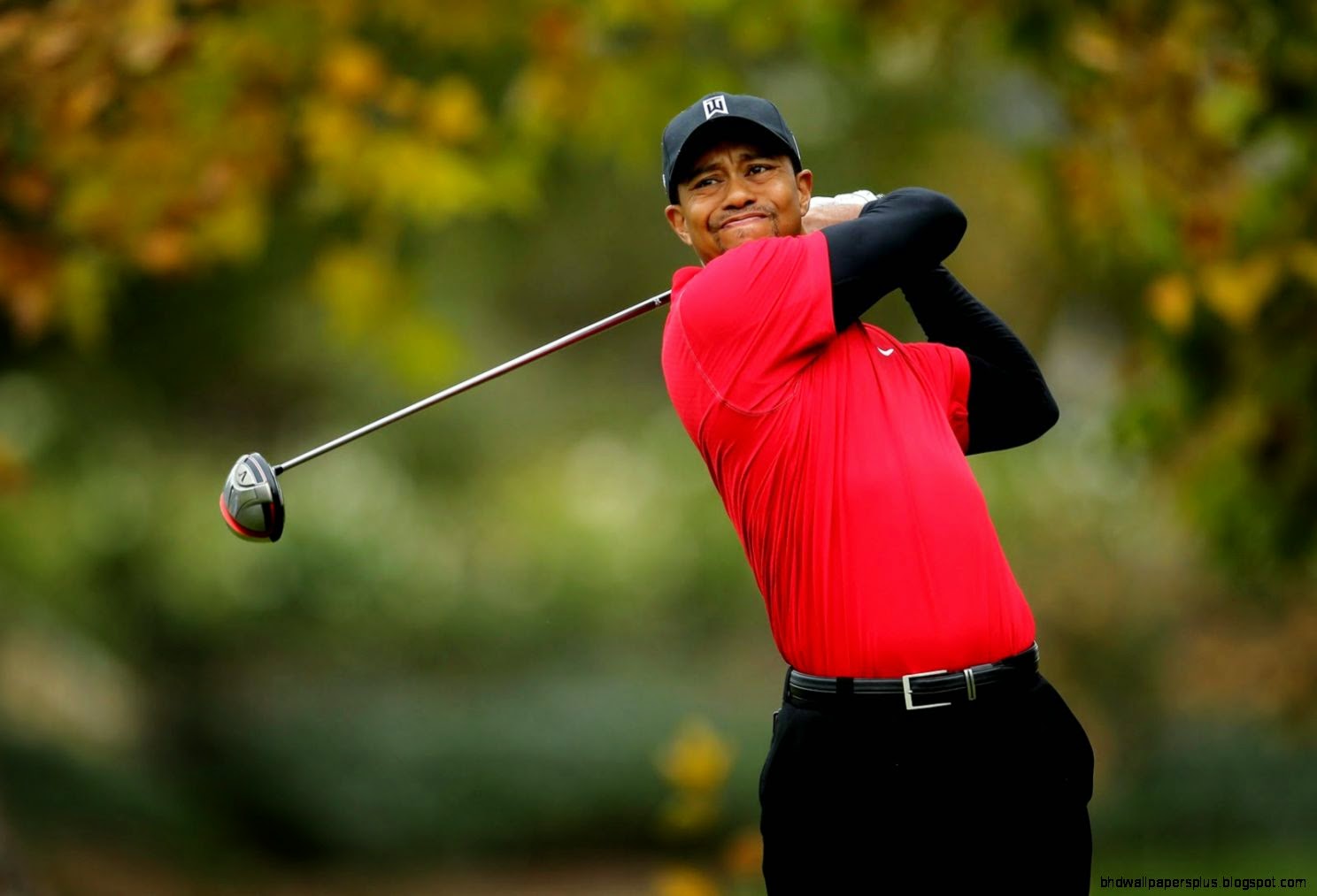 tiger woods wallpaper