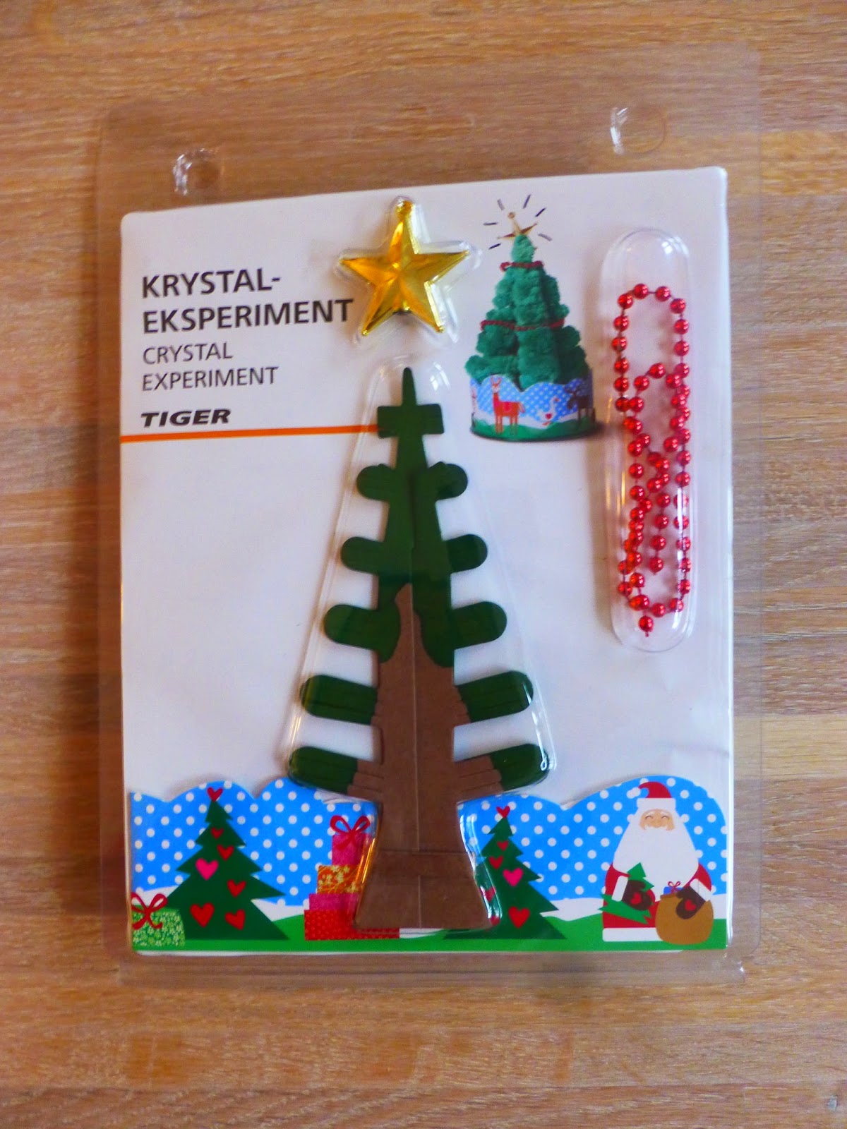 Family FECS Crystal Experiment Growing Crystal Christmas Tree