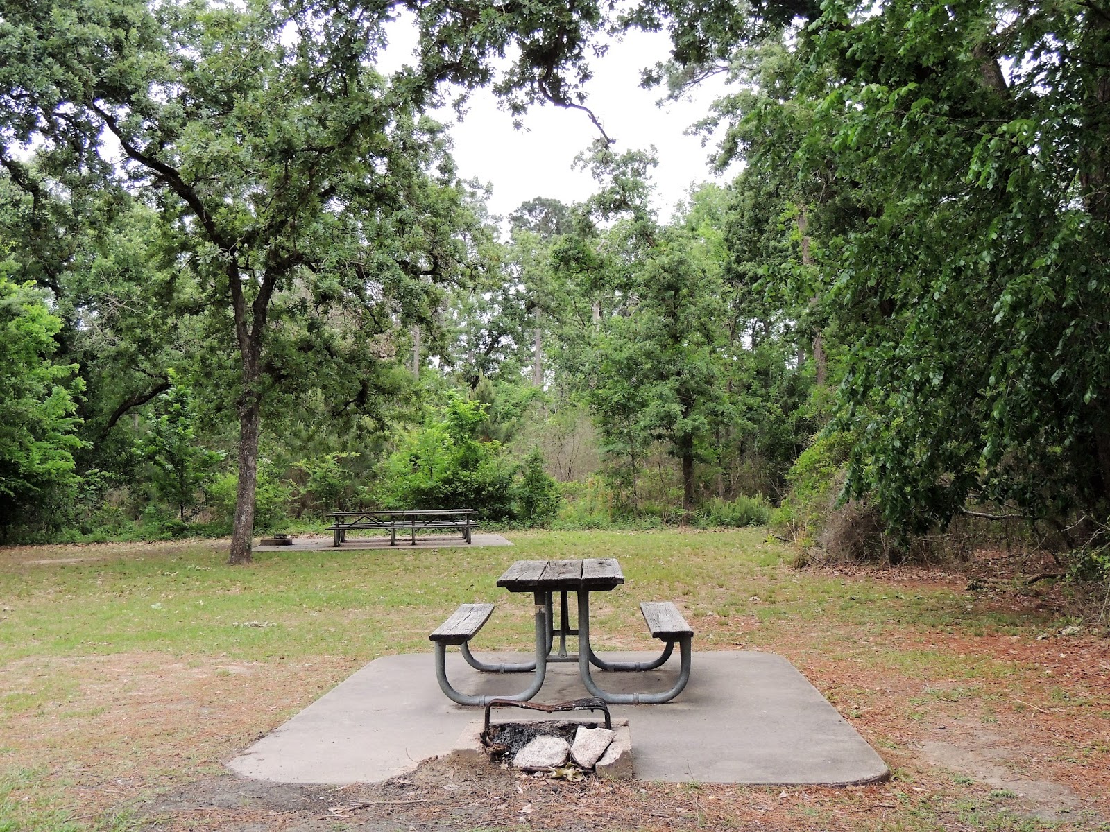 Houston Parks in Pics Memorial Park Picnic Area