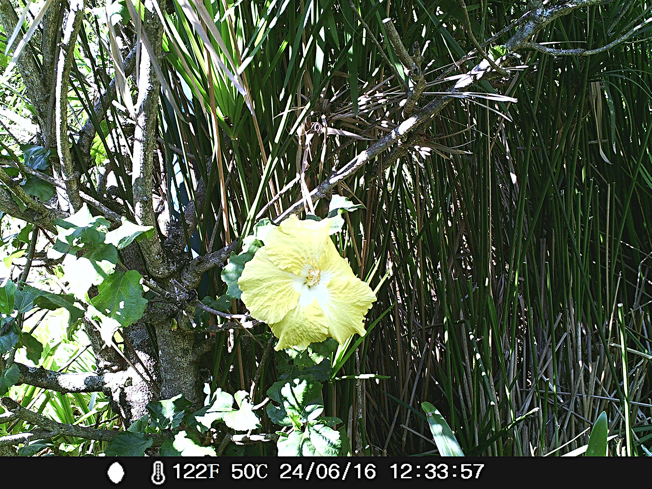 Ephoto Ezulwini Mai 2016