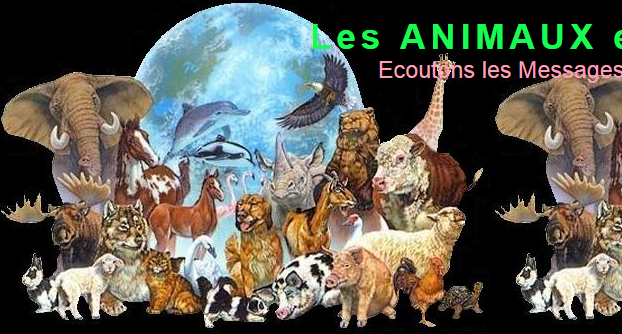 MESSAGES ANIMALIERS