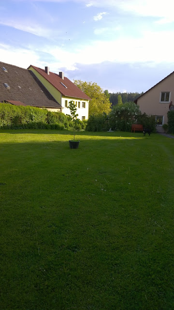 Gluck Ist Mit Katja Von Die Raumfee Fee Ist Mein Name