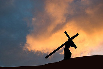 St. Elizabeth Catholic Church Blog: Take up your Cross ~ a ...