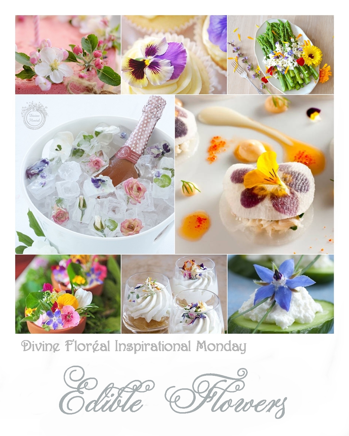 Bolethe Kristensen Where To Get Edible Flowers Nyc What S On A Plate