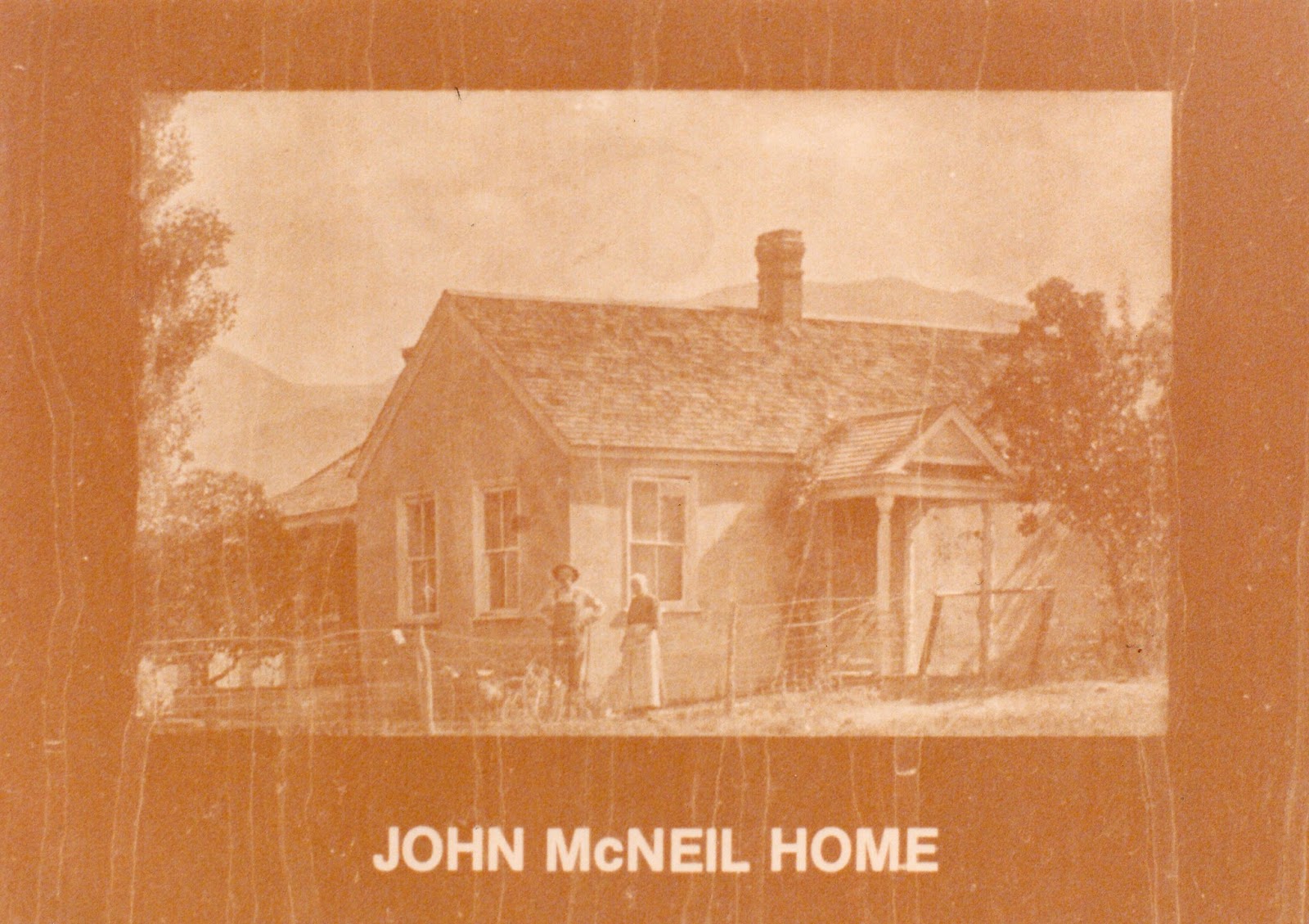 I Dig My Roots and Branches John Corlett McNeil, 18231909