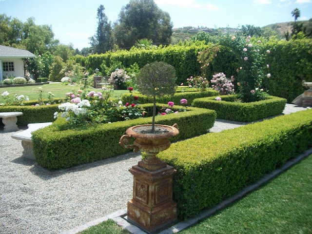 Full Bloom Cottage: An English Rose Garden