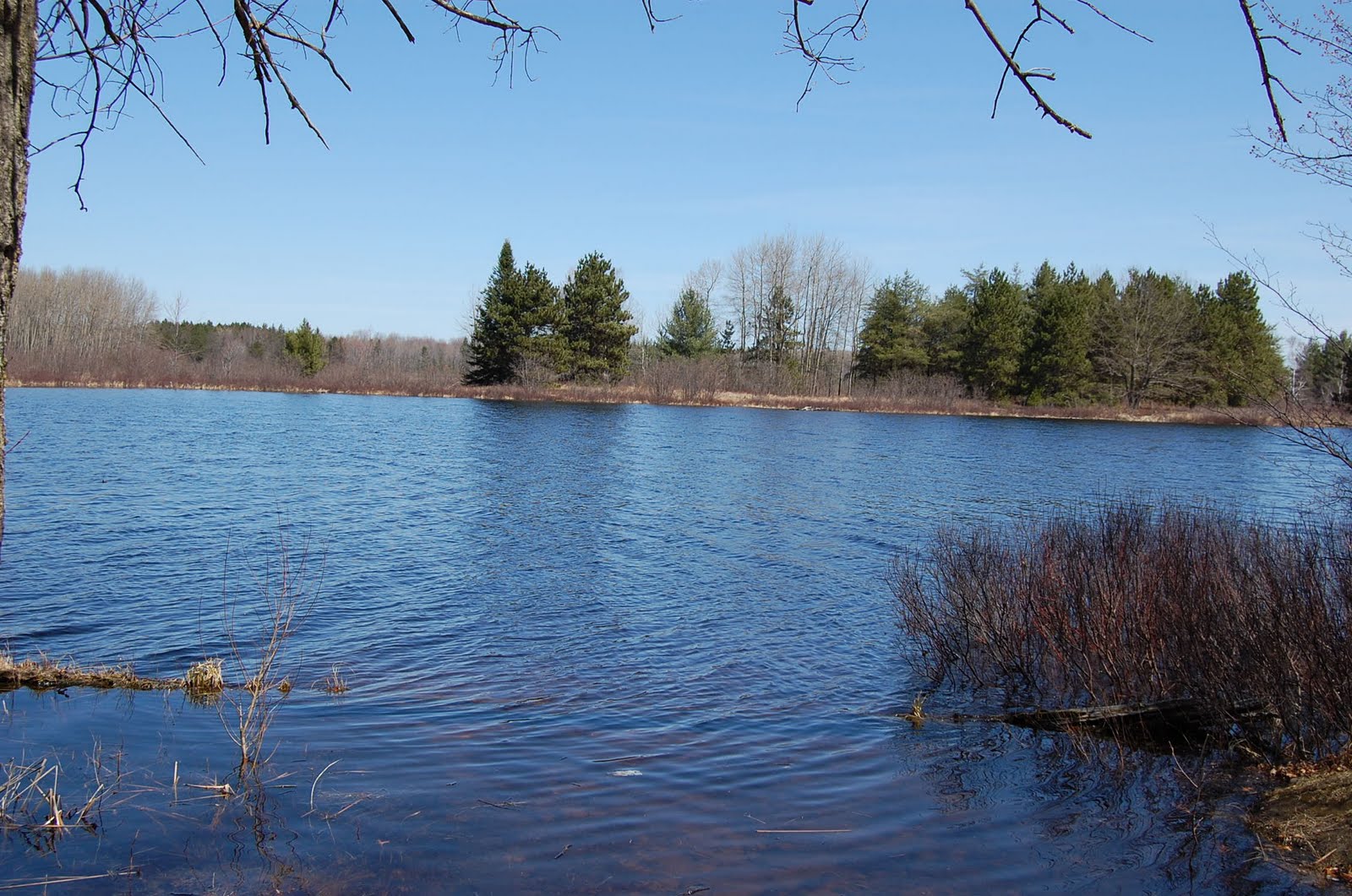 Houghton Lake Happenings Houghton Lake Area Fishing Report May 27, 2011
