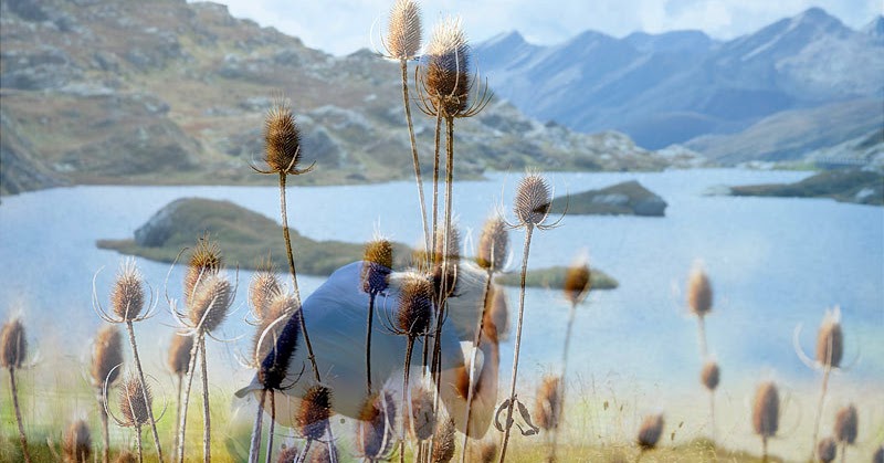 vereditiertes Verqueres