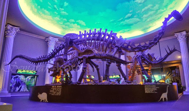 Jatim Park 2 (Secret Zoo) + Museum Satwa Jatim Park 2 (Secret Zoo) + Museum Satwa