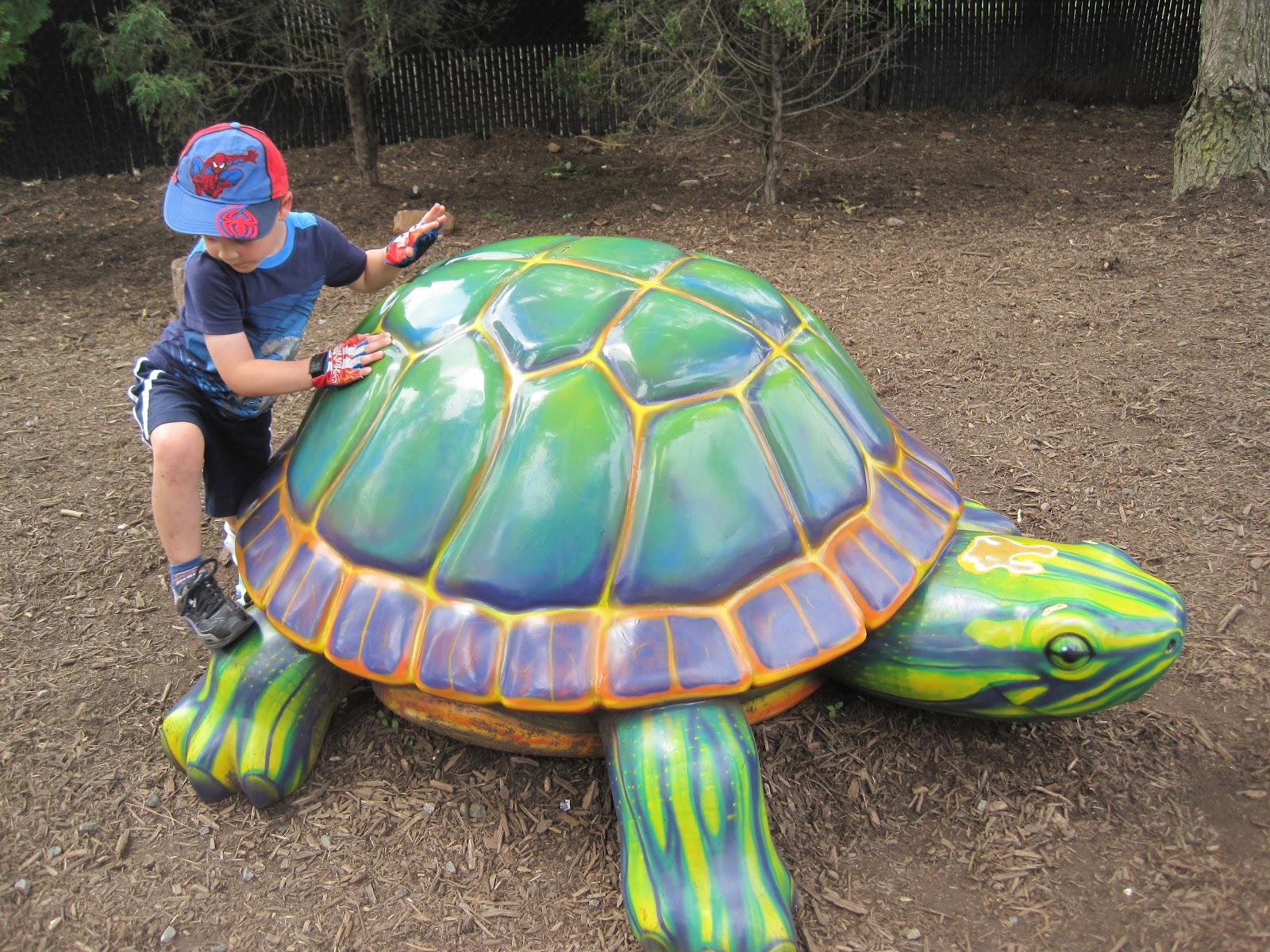 NJMum Turtle back Zoo!