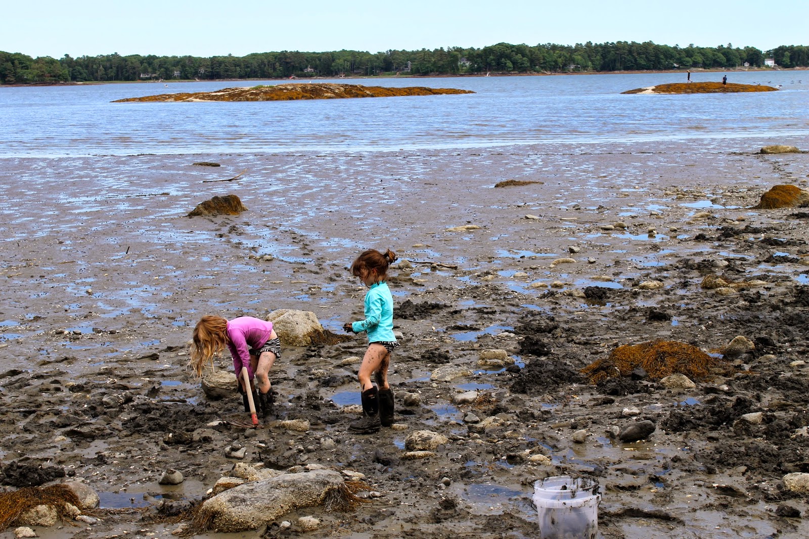 molly ruth clam digging