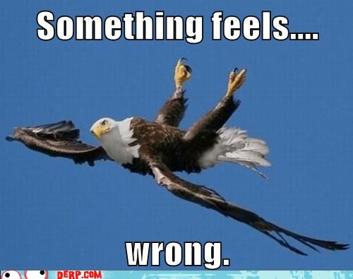 something-wrong-eagle.jpg