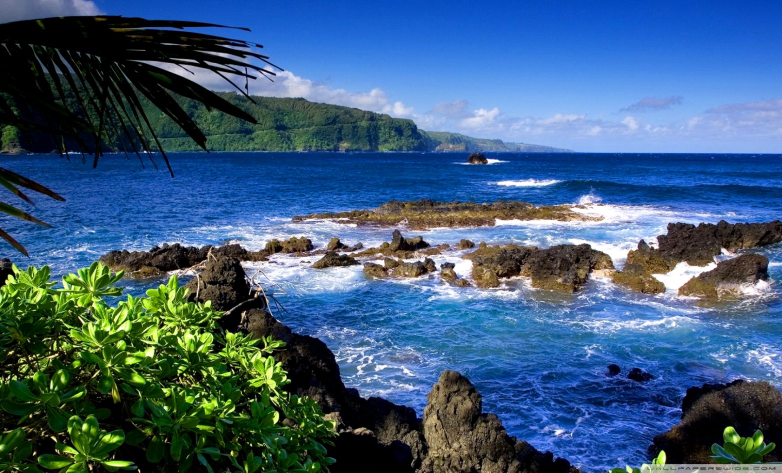 Hd Desktop Wallpaper Hawaii Wallpapers Art