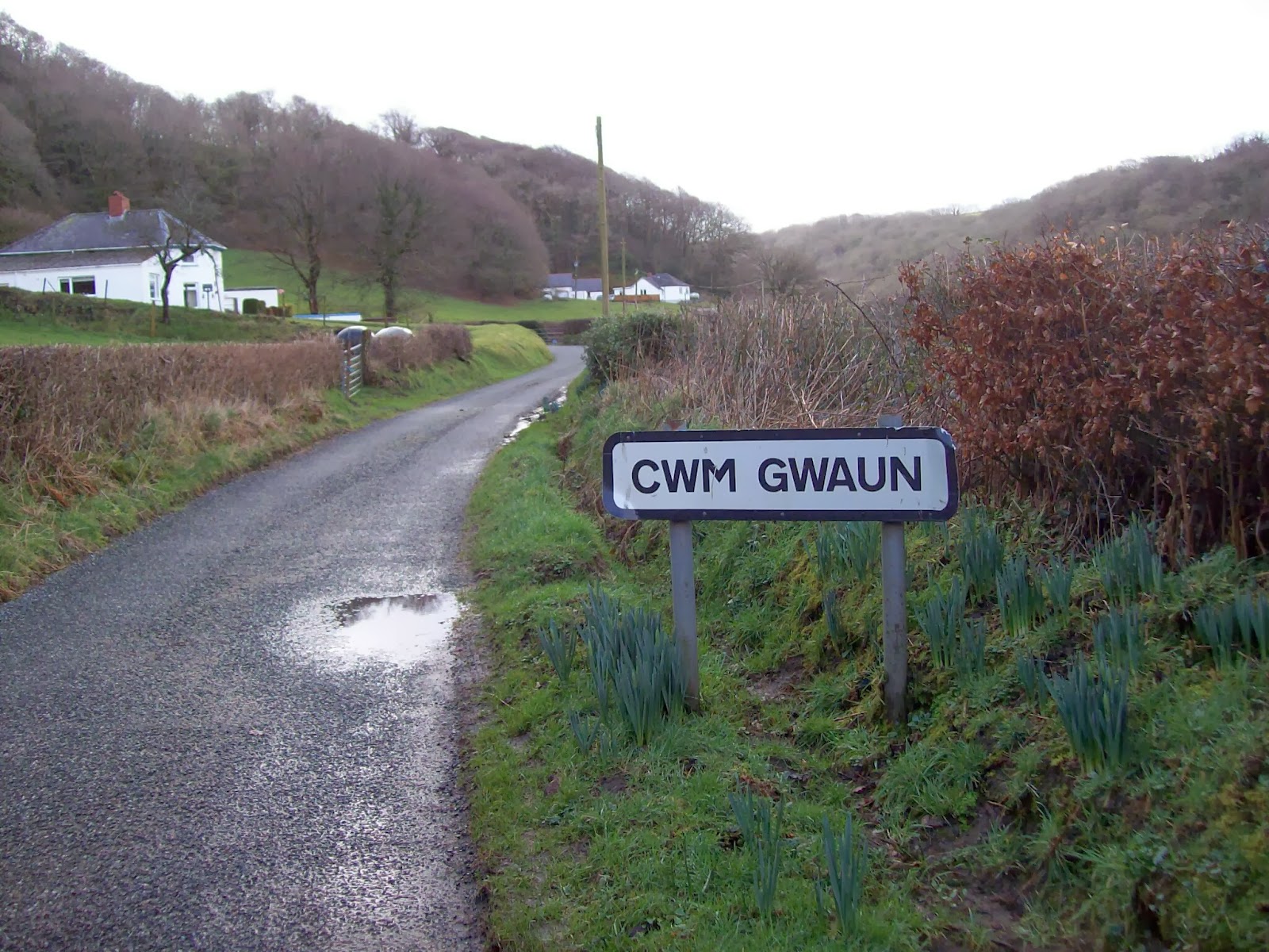 Random Daily Walks Cwm Gwaun