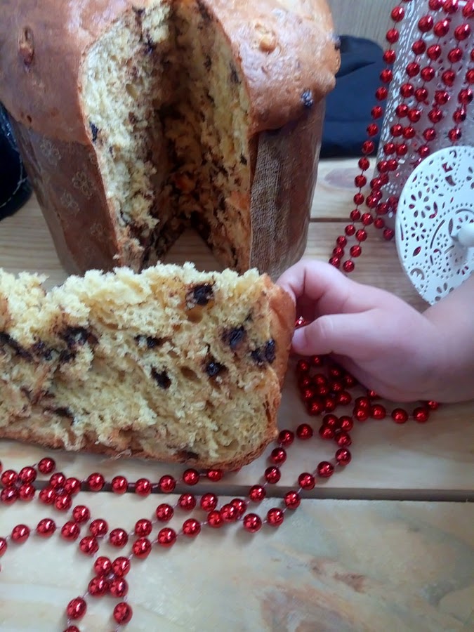 Panettone de calabaza con chocolate y naranja confitada. Receta navideña. Desayuno, merienda, postre. Muy esponjoso. Sin masa madre. Sin prefermento. Cuca