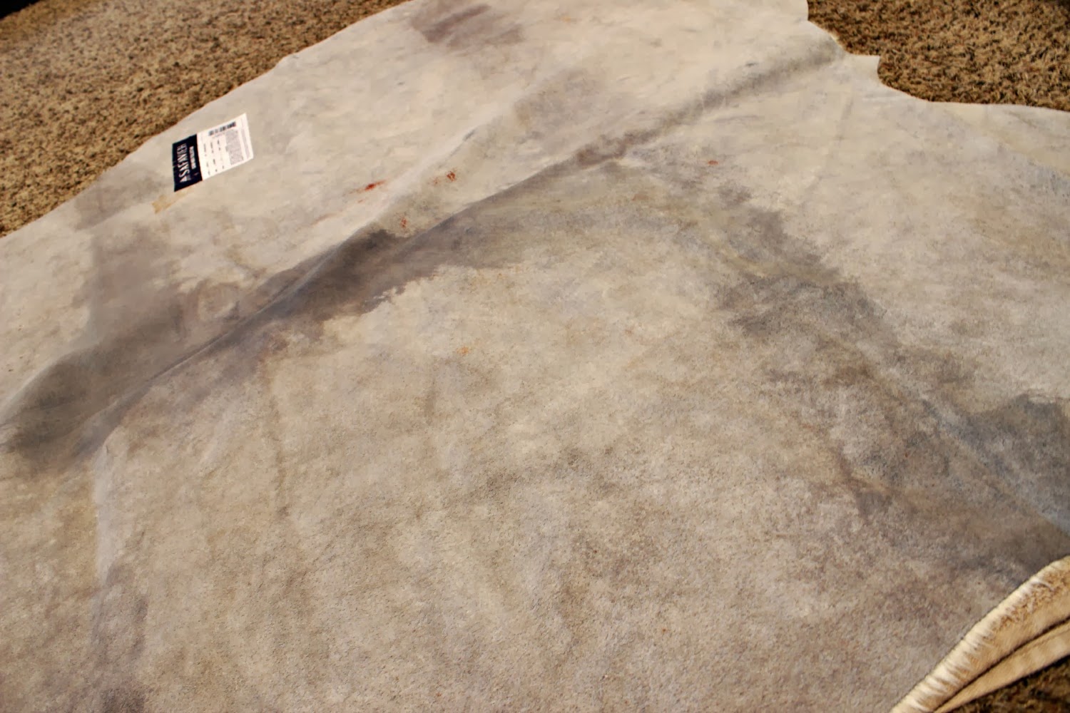 The Concrete Cottage Removing Wrinkles From A Cowhide Rug The Concrete Cottage