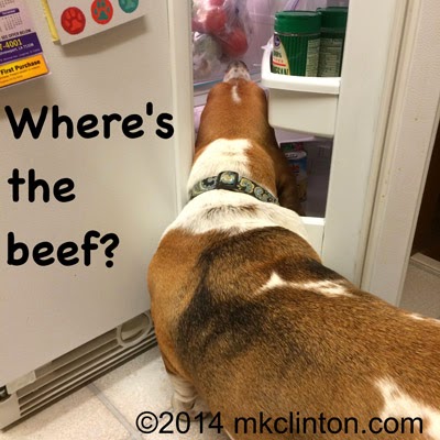 Basset Hound looking in refrigerator asking"Where's the beef?"