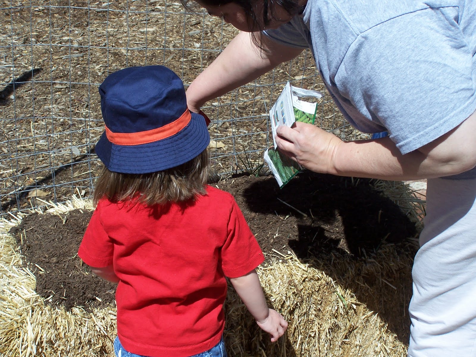 Adventures in Straw Bale Gardening in Colorado
