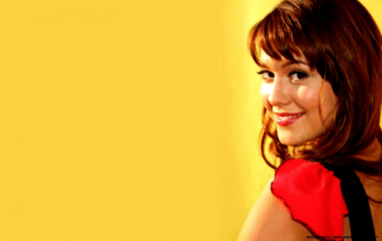 Mary Elizabeth Winstead hot wallpapers  Movie Stars Pictures