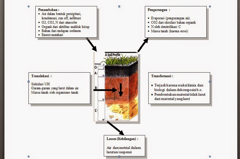 Peranan Dekomposer Bagi Kesuburan Tanah Adalah - Perumperindo.co.id