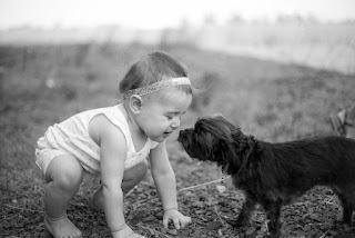 Could I Start A Dog Breeding Business Could I Start A Dog Breeding Business
