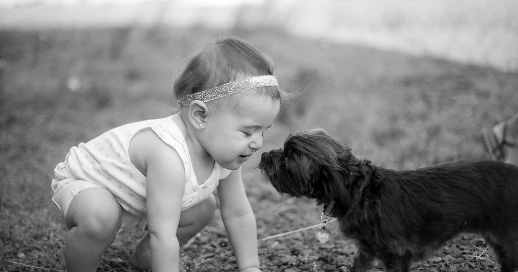 How to Breed Dogs How to Start a Dog Breeding Business