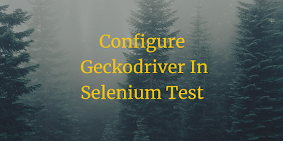 Configure Geckodriver In Selenium Test