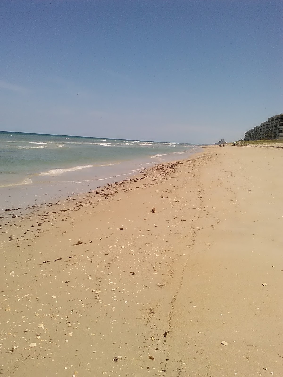 Treasure Coast Craigslist Florida - ppo7wtt