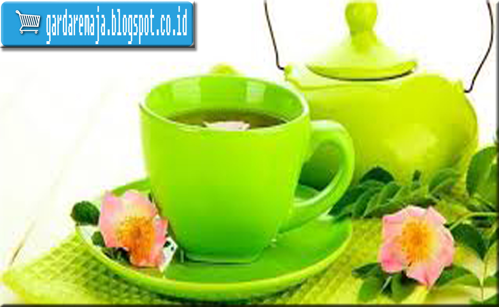 Kandungan serta Manfaat Green Tea (Teh Hijau) untuk Kesehatan Garda