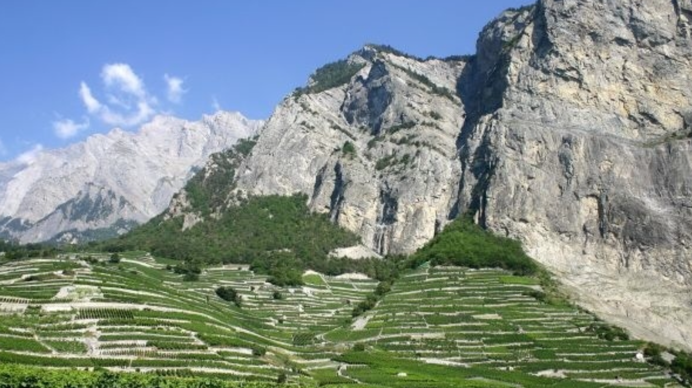 Швейцария мартиньи