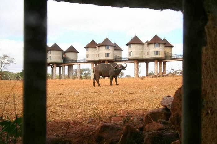 Sarova Salt Lick Game Lodge - Tsavo West National Park