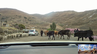 Lesotho Lesotho