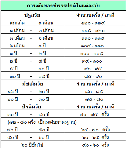à¸à¸¥à¸à¸²à¸£à¸à¹à¸à¸«à¸²à¸£à¸¹à¸à¸ าà¸à¸ªà¸³à¸«à¸£à¸±à¸ à¸à¸±à¸à¸£à¸²à¹à¸à¹à¸à¸«à¸±à¸§à¹à¸à¸à¸à¸à¸´
