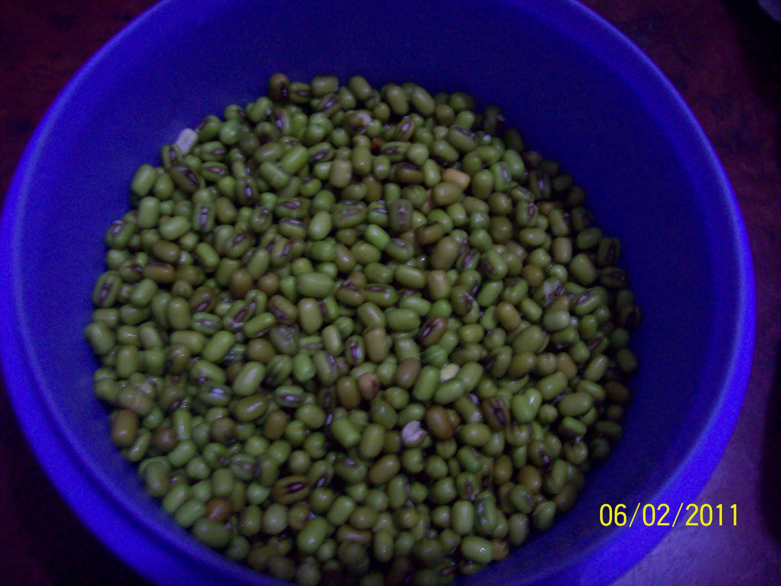 Bengali mom in Mumbai How to make sprouts at home